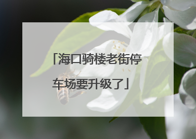 海口骑楼老街停车场要升级了