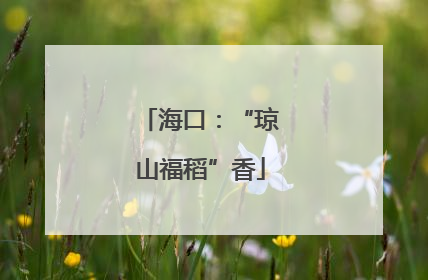 海口：“琼山福稻”香
