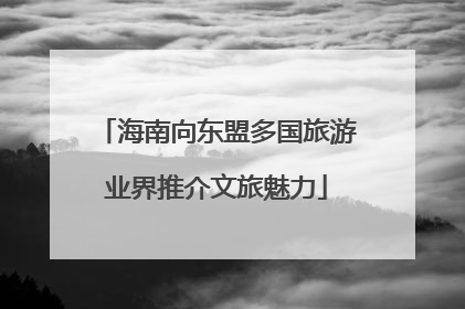 海南向东盟多国旅游业界推介文旅魅力