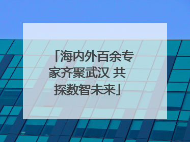 海内外百余专家齐聚武汉 共探数智未来