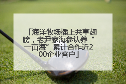 海洋牧场插上共享翅膀，老尹家海参认养“一亩海”累计合作近200企业客户