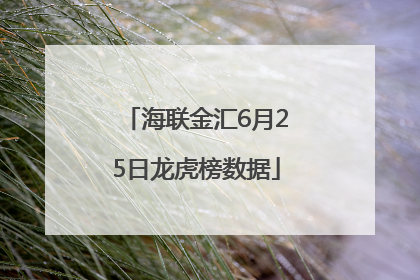 海联金汇6月25日龙虎榜数据