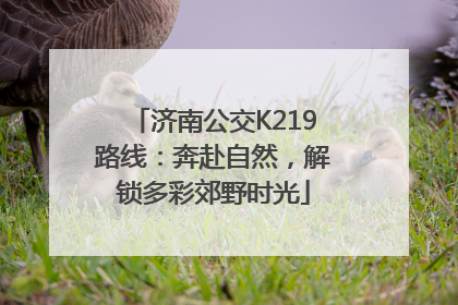 济南公交K219路线：奔赴自然，解锁多彩郊野时光