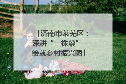 济南市莱芜区：深耕“一株桑” 绘就乡村振兴图