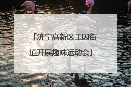 济宁高新区王因街道开展趣味运动会