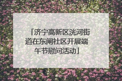 济宁高新区洸河街道在东闸社区开展端午节慰问活动