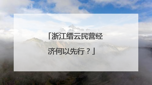 浙江缙云民营经济何以先行？
