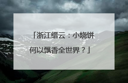 浙江缙云：小烧饼何以飘香全世界？