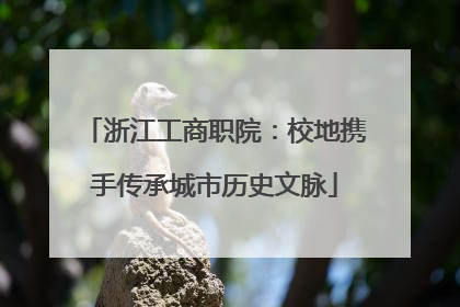 浙江工商职院：校地携手传承城市历史文脉