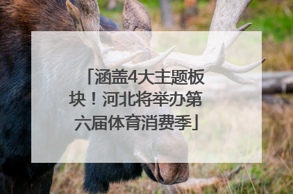 涵盖4大主题板块！河北将举办第六届体育消费季
