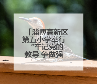 淄博高新区第五小学举行 “牢记党的教导 争做强国少年”2024级分批入队仪式