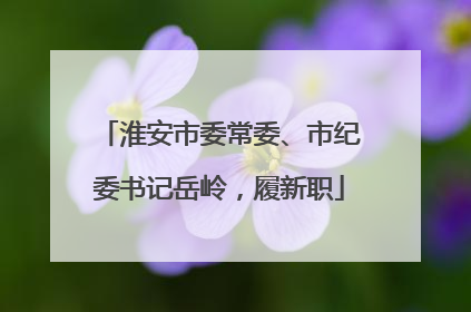 淮安市委常委、市纪委书记岳岭，履新职