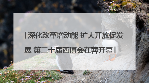 深化改革增动能 扩大开放促发展 第二十届西博会在蓉开幕