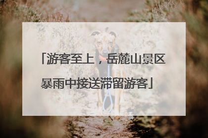 游客至上，岳麓山景区暴雨中接送滞留游客