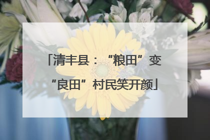 清丰县：“粮田”变“良田”村民笑开颜
