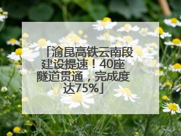 渝昆高铁云南段建设提速！40座隧道贯通，完成度达75%
