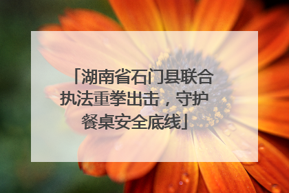 湖南省石门县联合执法重拳出击，守护餐桌安全底线