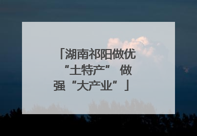 湖南祁阳做优“土特产” 做强“大产业”