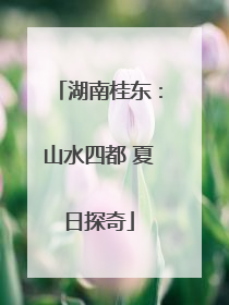 湖南桂东：山水四都 夏日探奇