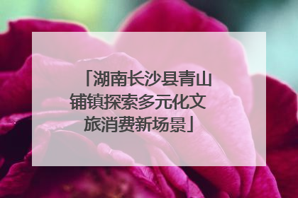 湖南长沙县青山铺镇探索多元化文旅消费新场景