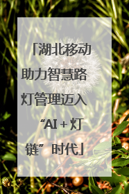 湖北移动助力智慧路灯管理迈入“AI＋灯链”时代