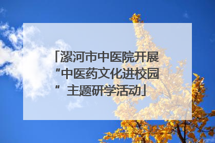漯河市中医院开展“中医药文化进校园”主题研学活动