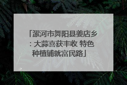 漯河市舞阳县姜店乡：大蒜喜获丰收 特色种植铺就富民路
