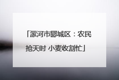 漯河市郾城区：农民抢天时 小麦收割忙