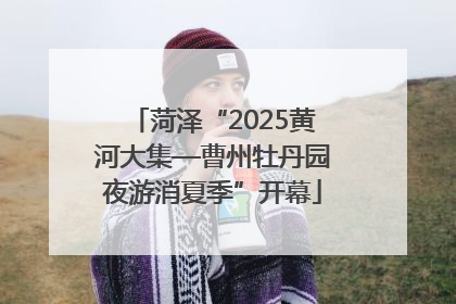 菏泽“2025黄河大集—曹州牡丹园夜游消夏季”开幕