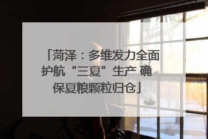 菏泽：多维发力全面护航“三夏”生产 确保夏粮颗粒归仓