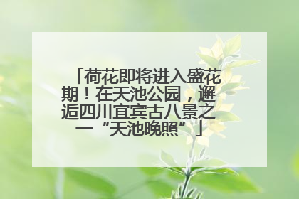 荷花即将进入盛花期！在天池公园，邂逅四川宜宾古八景之一“天池晚照”