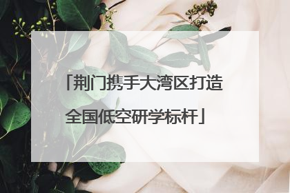 荆门携手大湾区打造全国低空研学标杆
