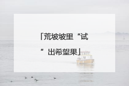 荒坡坡里“试”出希望果