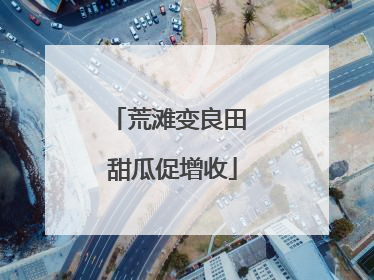 荒滩变良田 甜瓜促增收