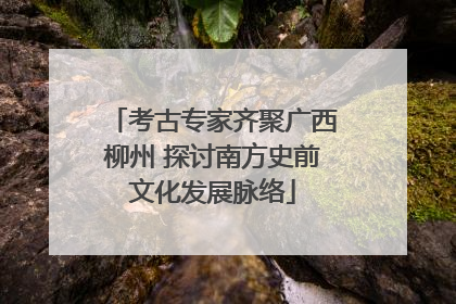 考古专家齐聚广西柳州 探讨南方史前文化发展脉络
