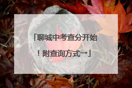 聊城中考查分开始！附查询方式→