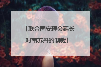 联合国安理会延长对南苏丹的制裁