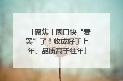 聚焦丨周口快“麦罢”了！收成好于上年、品质高于往年