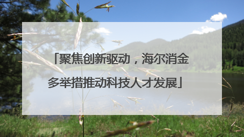 聚焦创新驱动，海尔消金多举措推动科技人才发展