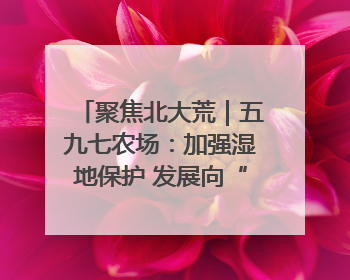 聚焦北大荒｜五九七农场：加强湿地保护 发展向“绿”而行