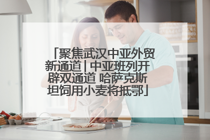 聚焦武汉中亚外贸新通道│中亚班列开辟双通道 哈萨克斯坦饲用小麦将抵鄂