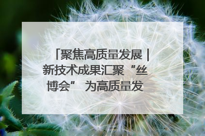 聚焦高质量发展｜新技术成果汇聚“丝博会” 为高质量发展注入新动能