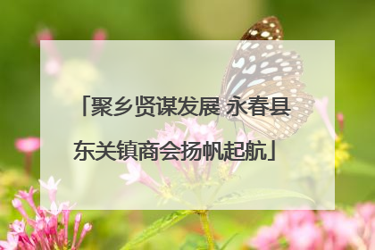 聚乡贤谋发展 永春县东关镇商会扬帆起航