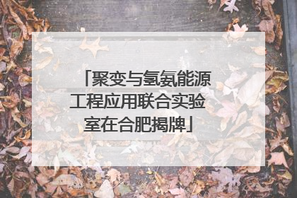 聚变与氢氨能源工程应用联合实验室在合肥揭牌