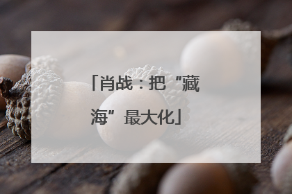 肖战：把“藏海”最大化