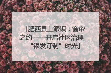 肥西县上派镇：窗帘之约——开启社区治理“银发订制”时光