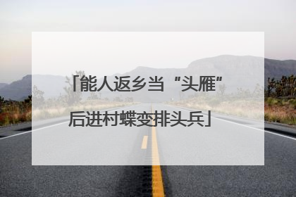 能人返乡当“头雁” 后进村蝶变排头兵