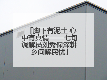 脚下有泥土 心中有真情——七旬调解员刘秀保深耕乡间解民忧