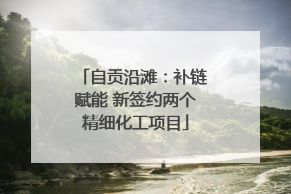 自贡沿滩：补链赋能 新签约两个精细化工项目