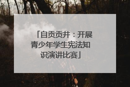 自贡贡井：开展青少年学生宪法知识演讲比赛